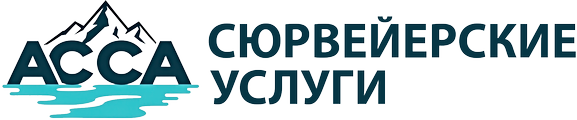 Сюрвейерская компания